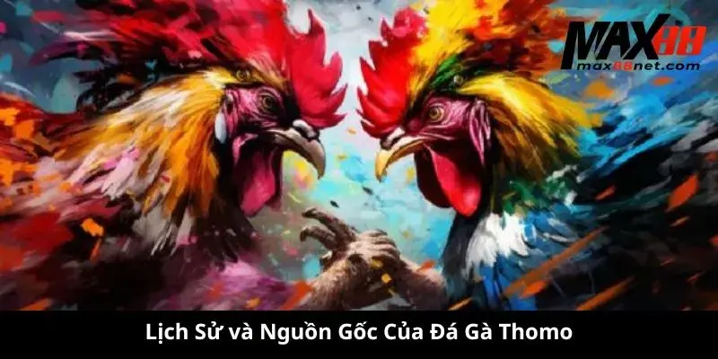 Đá Gà Thomo – Trận Chiến Nảy Lửa Tại Trường Gà Campuchia 1 Lịch Sử và Nguồn Gốc Của Đá Gà Thomo
