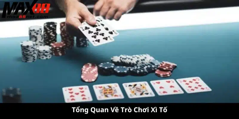 Cách Chơi Xì Tố – Hướng Dẫn Luật Chơi & Mẹo Thắng Lớn 1 cách chơi xì tố